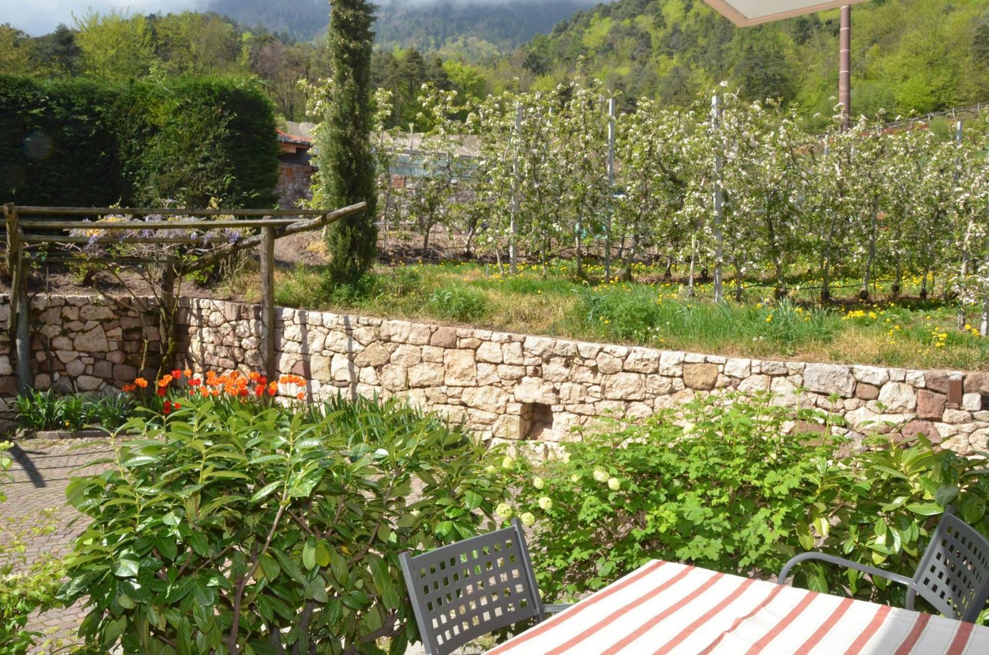 Schloss-Hof Appiano Sulla Strada Del Vino Exterior foto