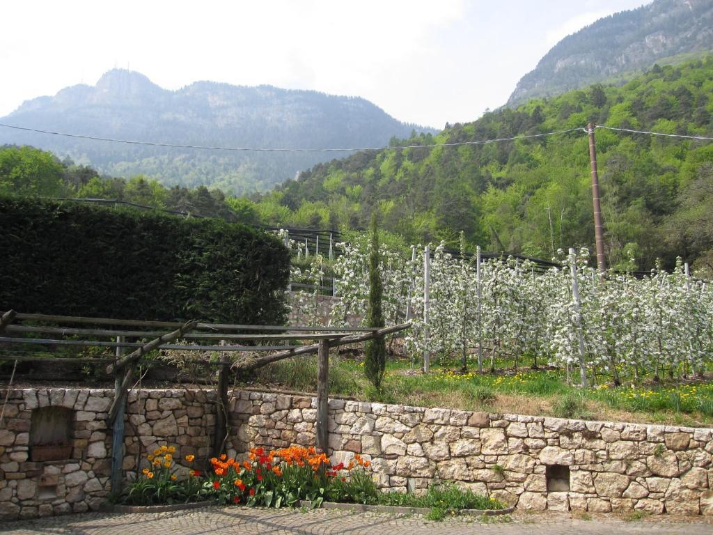 Schloss-Hof Appiano Sulla Strada Del Vino Cameră foto